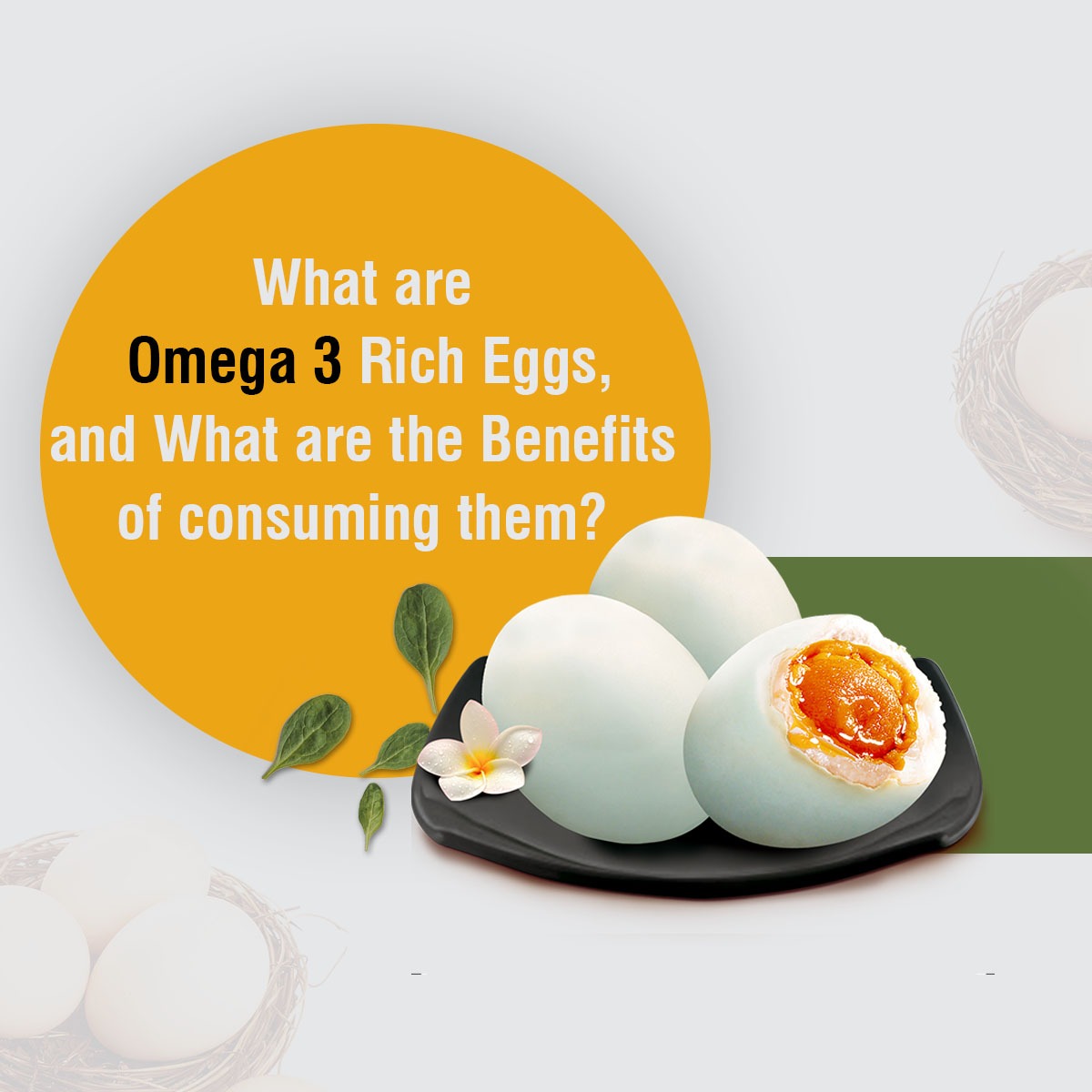 Omega-3 rich eggs